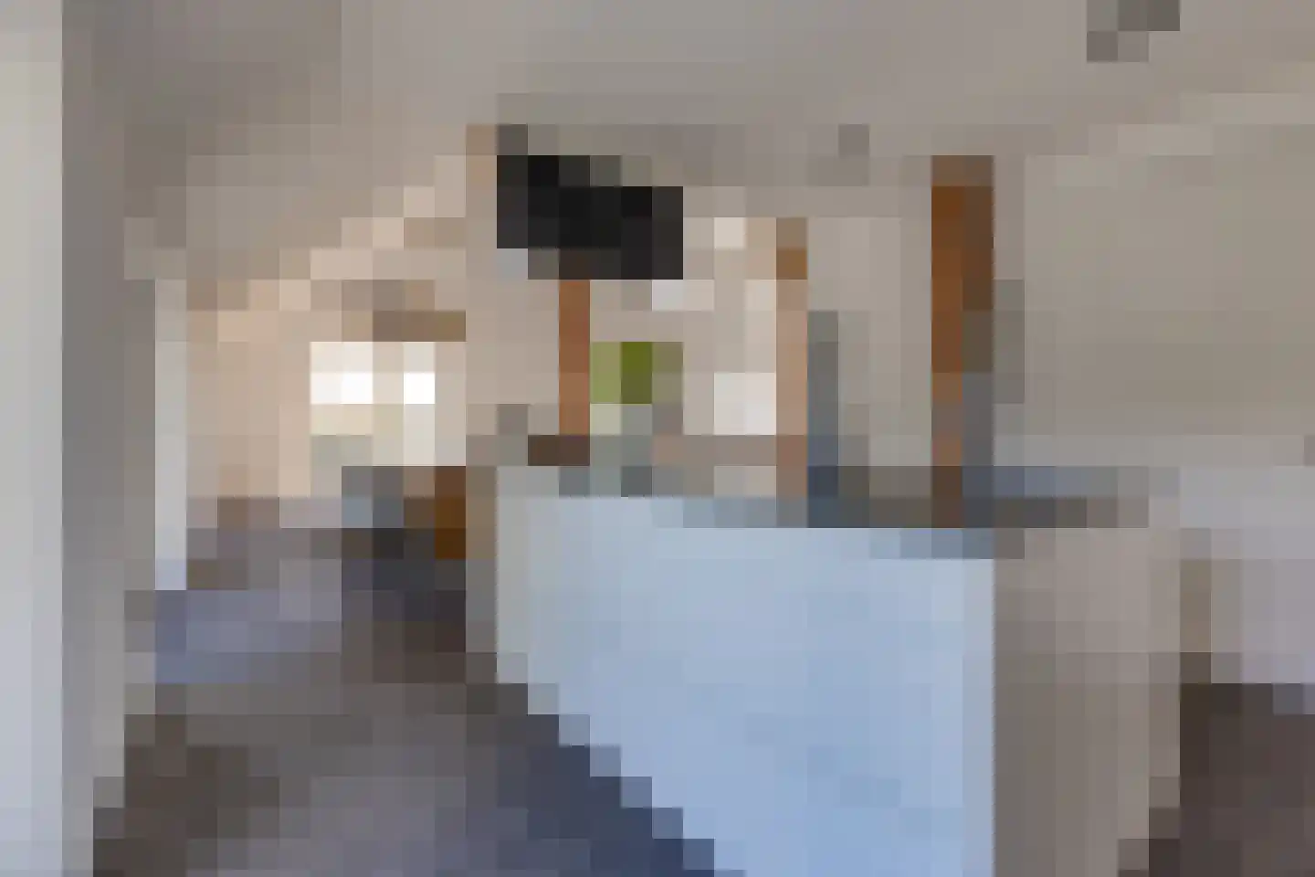 Borgerderstraat 1 Ees thumbnail 17