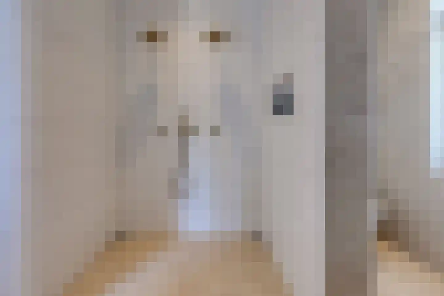 Borgerderstraat 1 Ees thumbnail 32