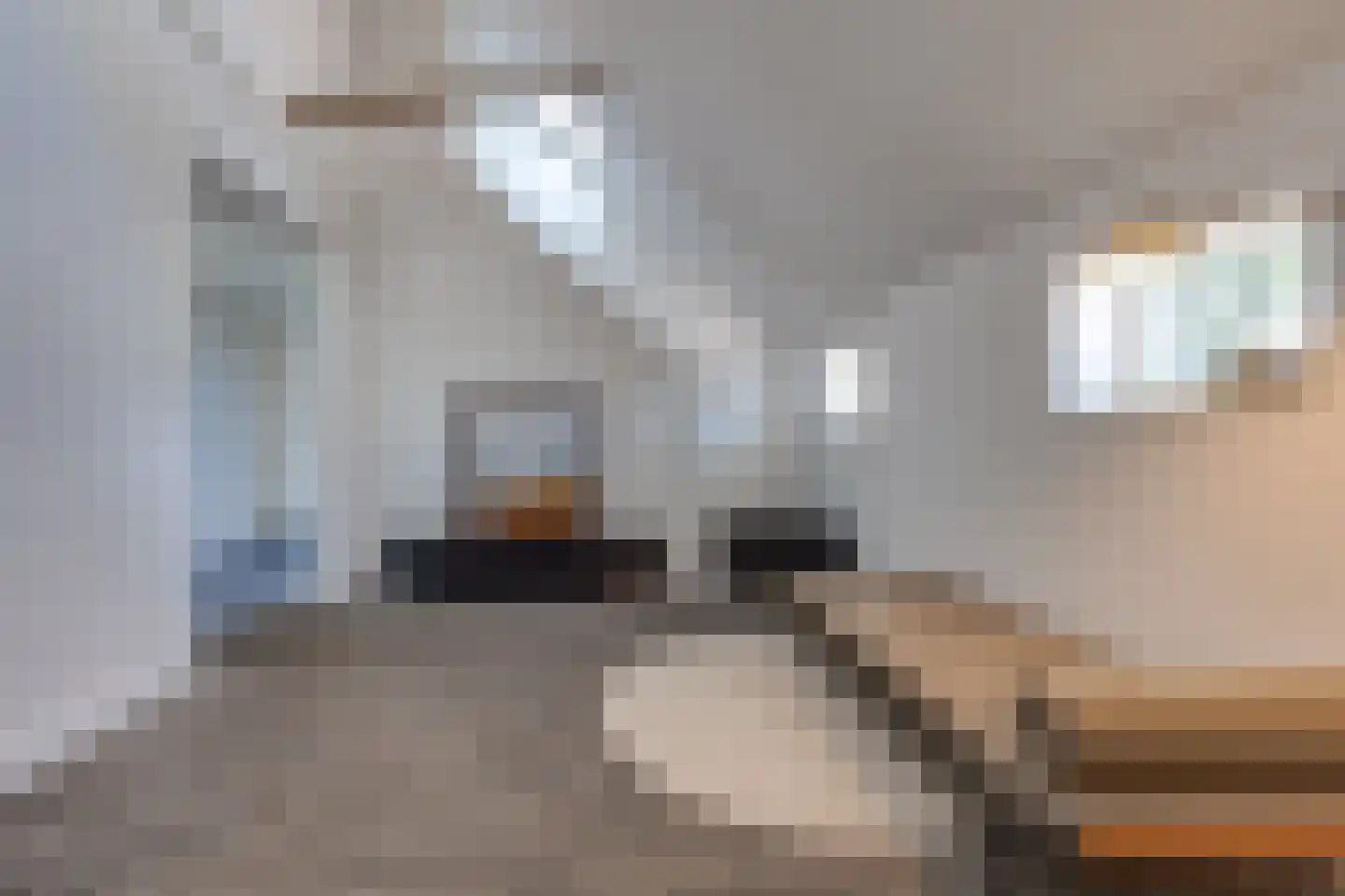 Borgerderstraat 1 Ees thumbnail 37