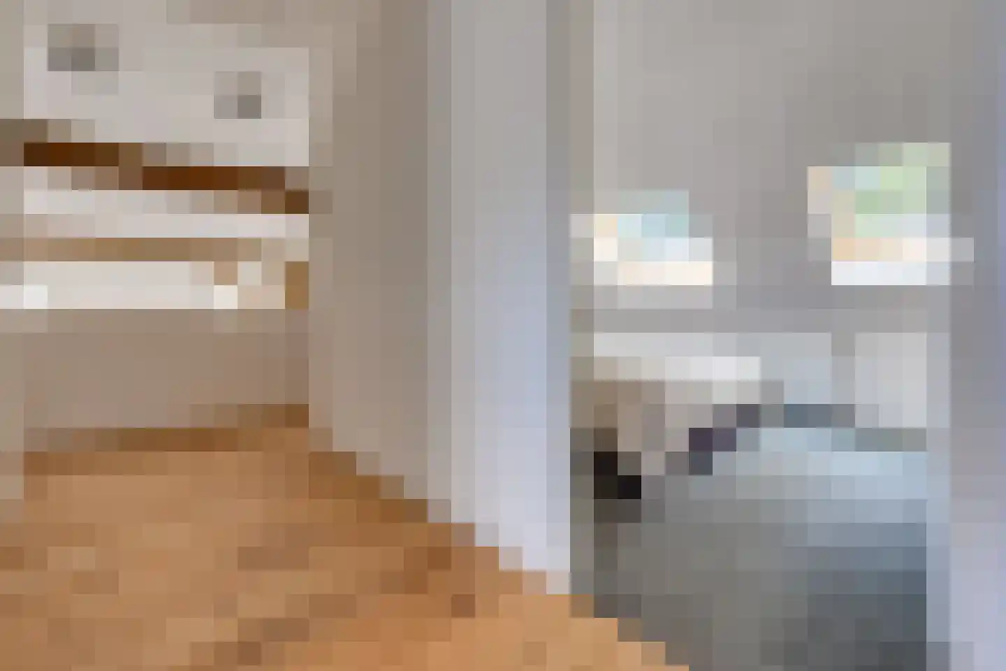 Borgerderstraat 1 Ees thumbnail 45
