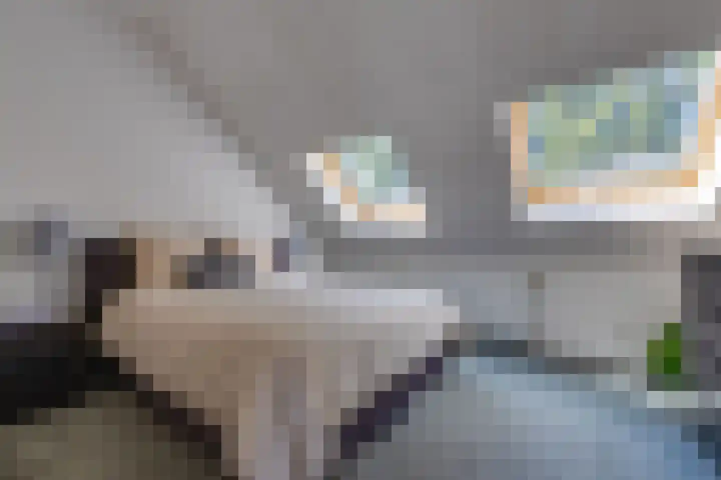 Borgerderstraat 1 Ees thumbnail 46