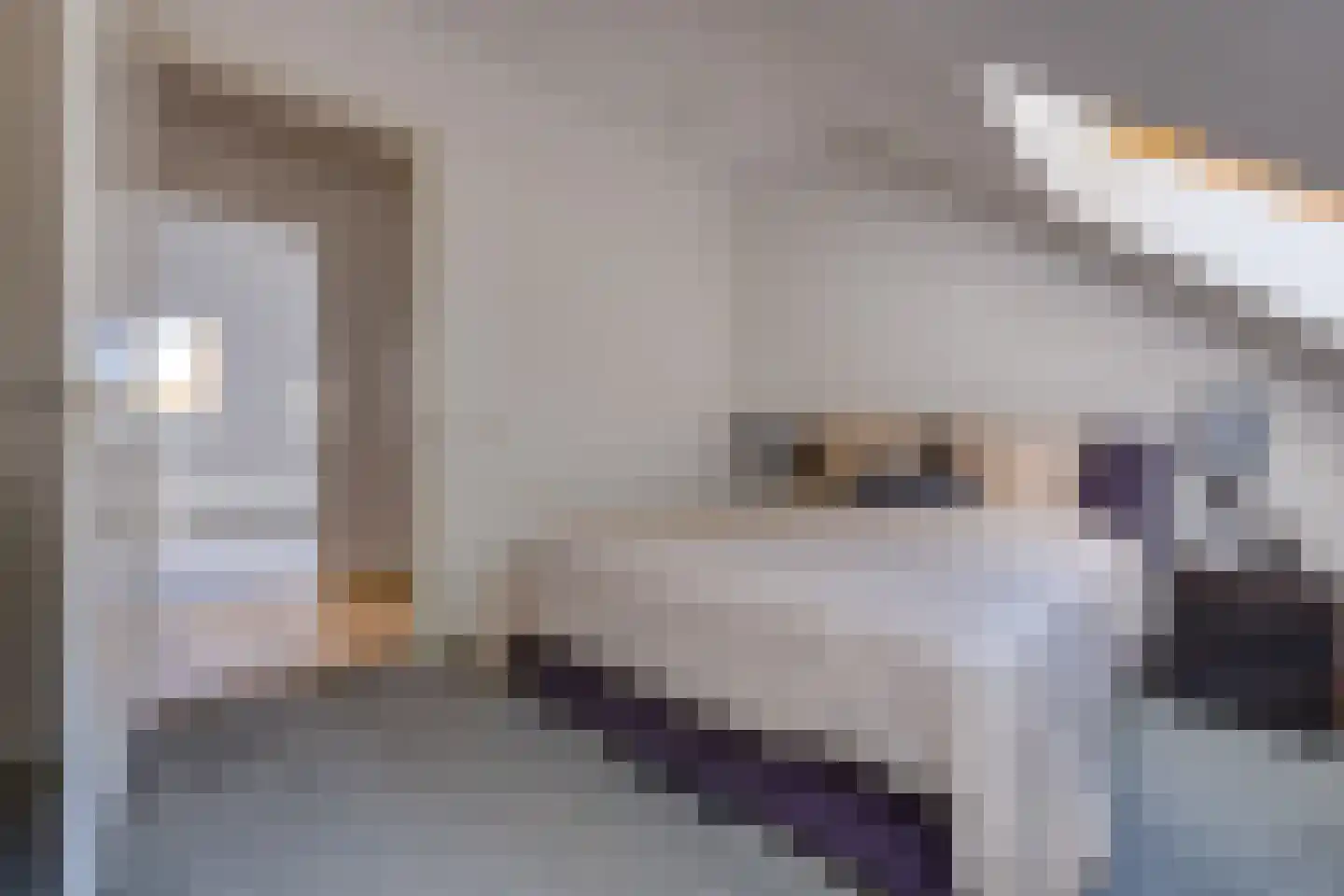 Borgerderstraat 1 Ees thumbnail 47