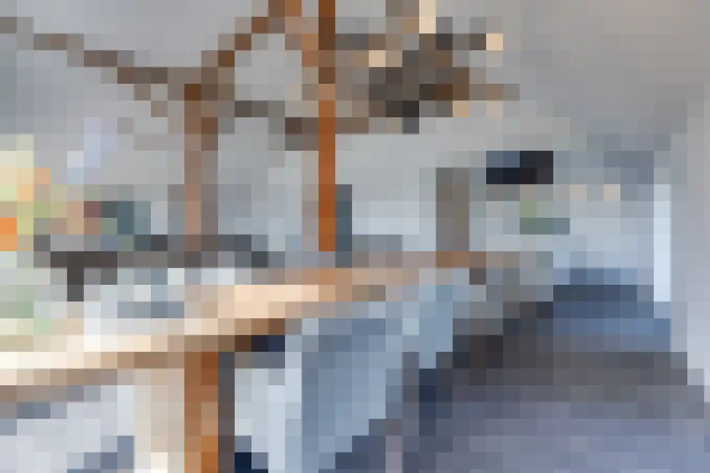 Borgerderstraat 1 Ees thumbnail 5