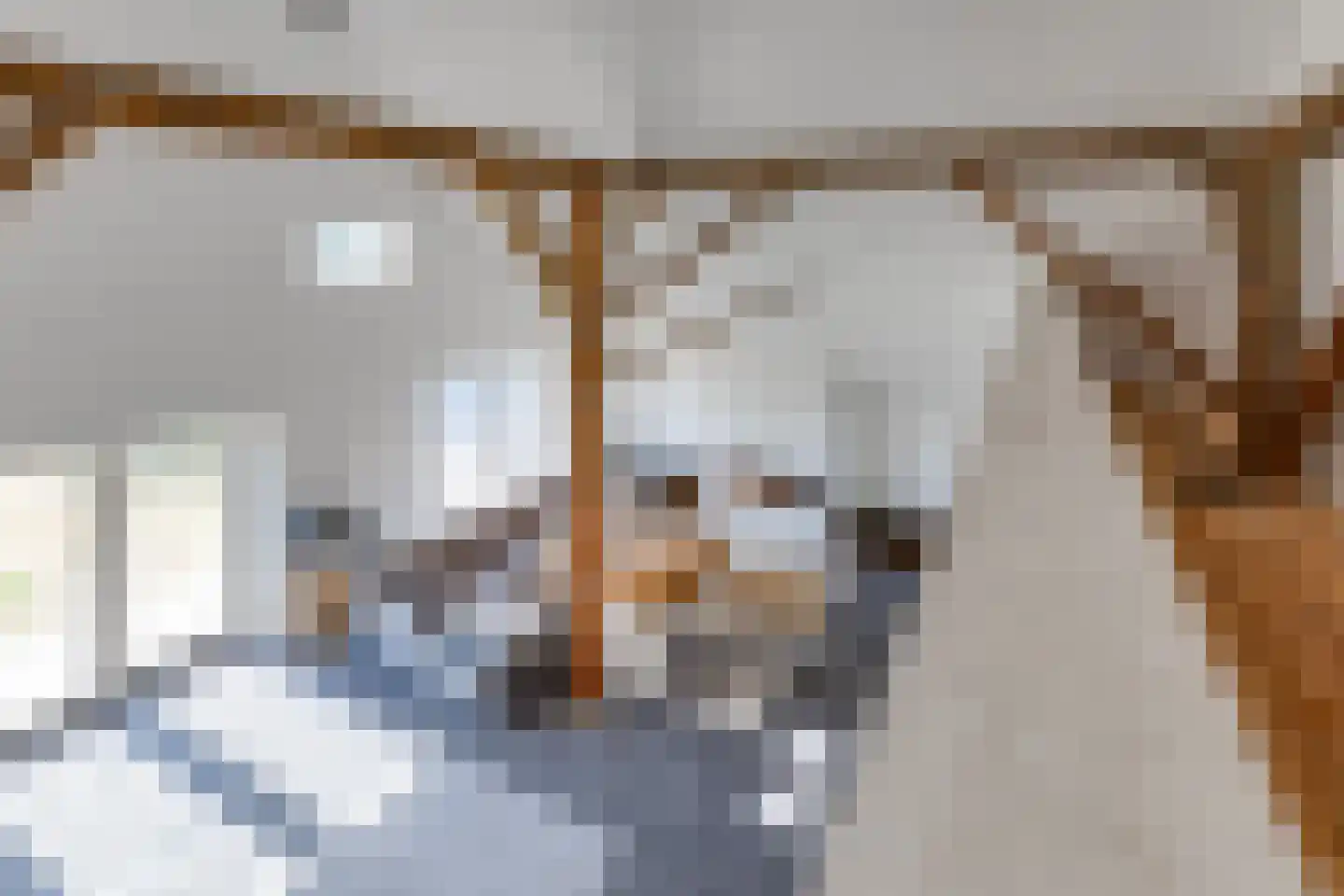 Borgerderstraat 1 Ees thumbnail 50