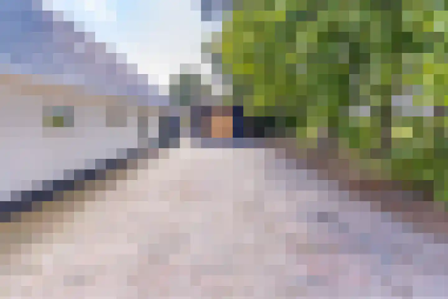 Borgerderstraat 1 Ees thumbnail 9