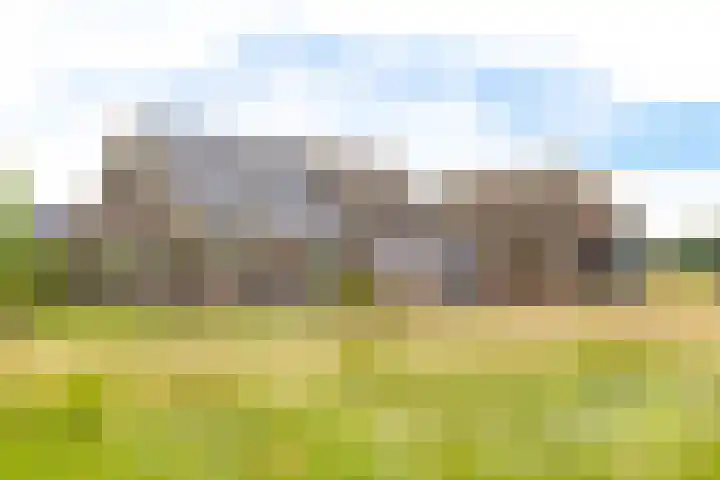 Borgerderstraat 4 Ees