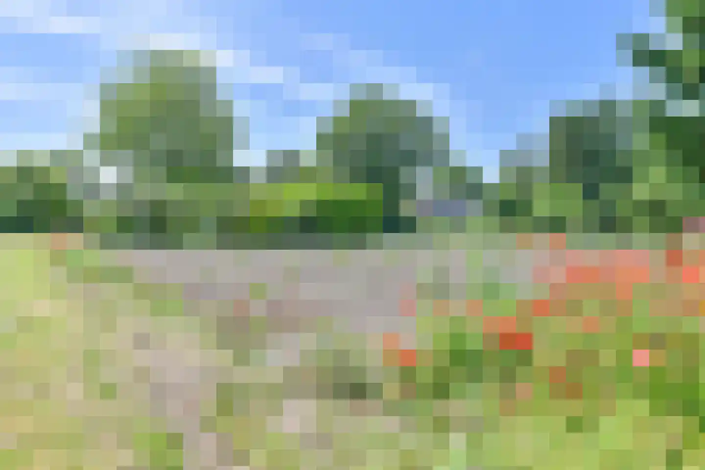 Borgerderweg 18 Odoorn thumbnail 100