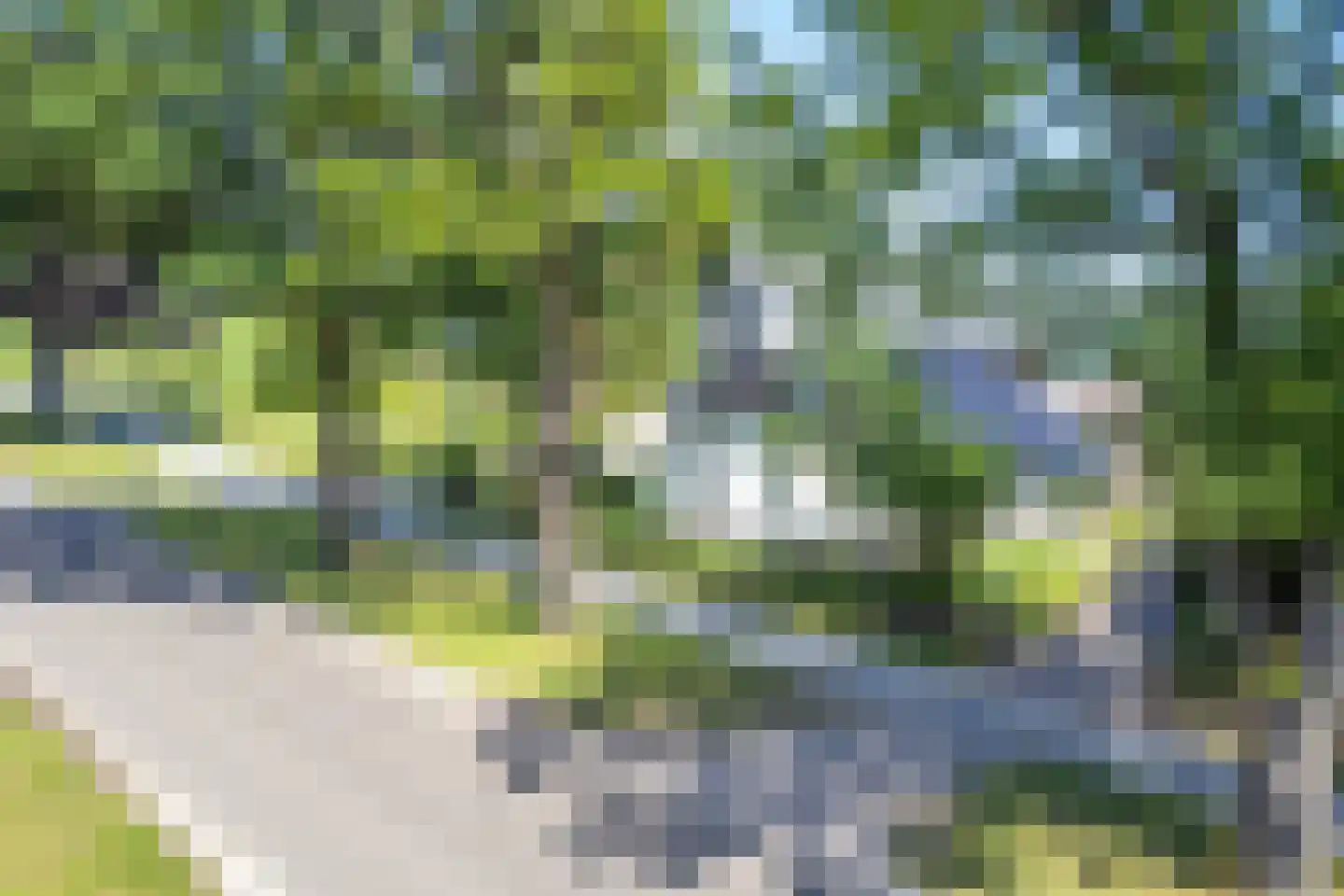 Borgerderweg 18 Odoorn thumbnail 108