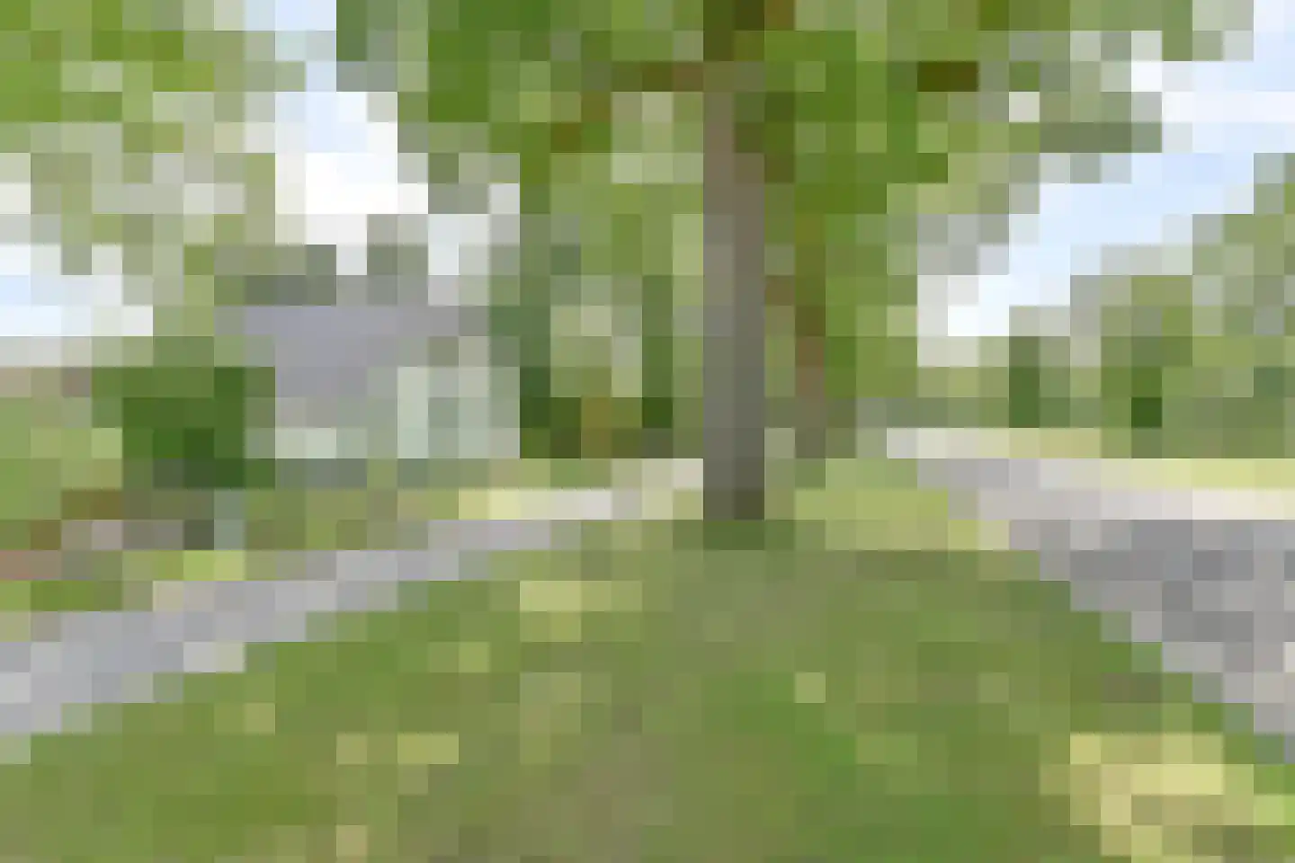 Borgerderweg 18 Odoorn thumbnail 111