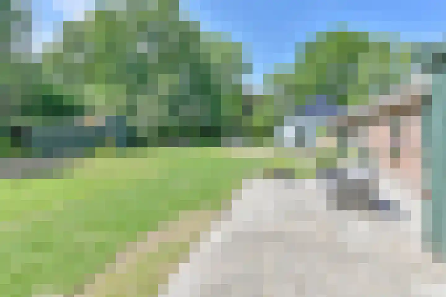 Borgerderweg 18 Odoorn thumbnail 72