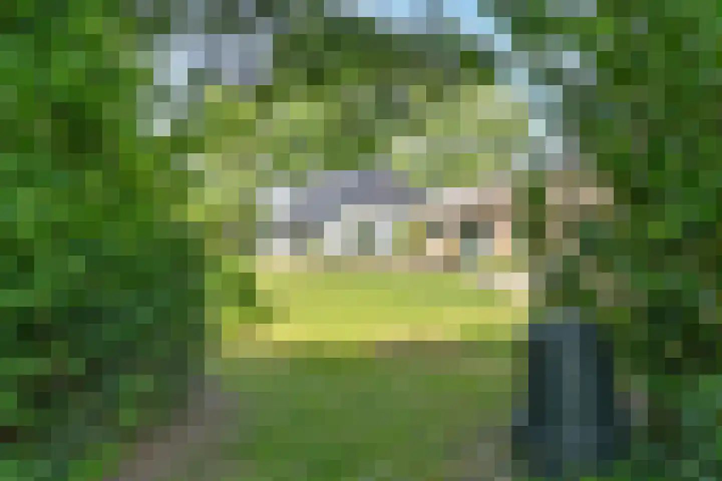 Borgerderweg 18 Odoorn thumbnail 94