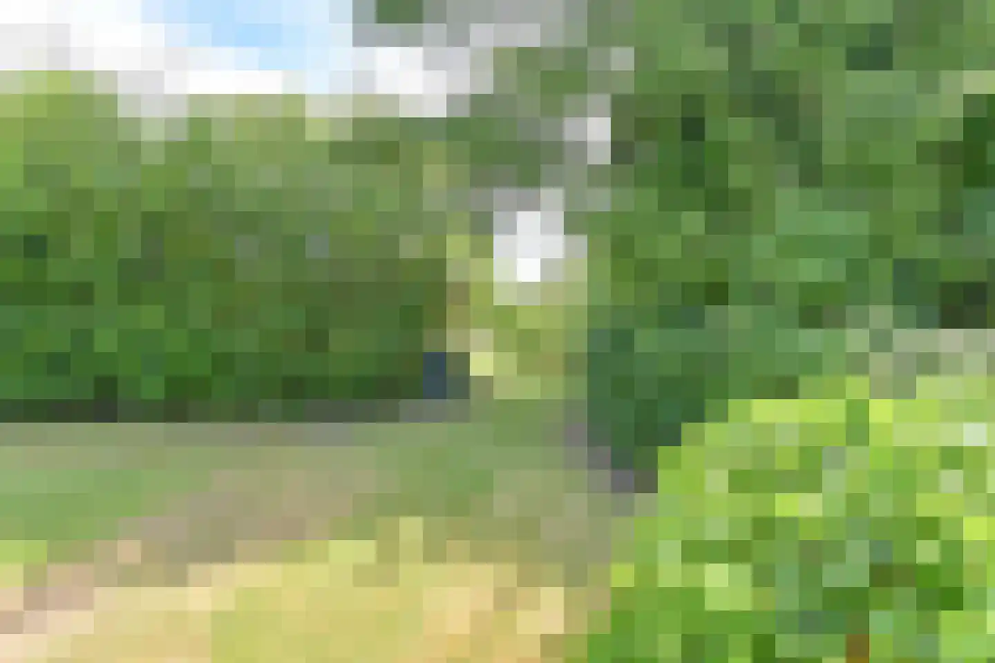 Borgerderweg 18 Odoorn thumbnail 95
