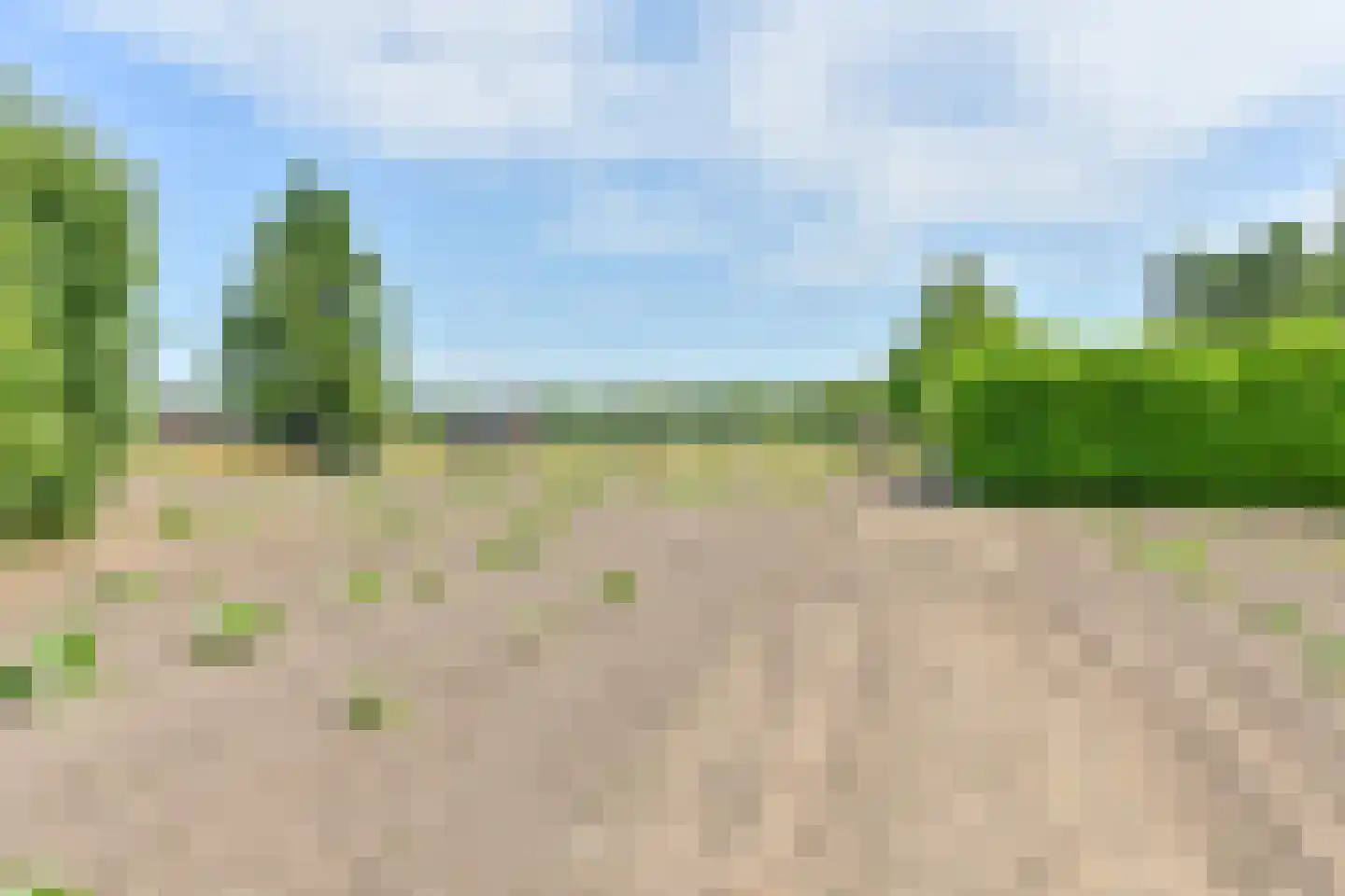 Borgerderweg 18 Odoorn thumbnail 99