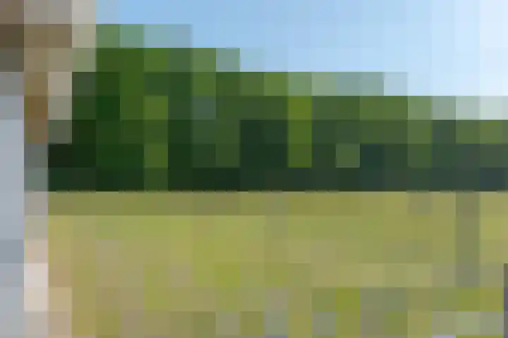 Borgerderweg 21 Odoorn thumbnail 22