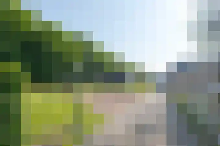 Borgerderweg 21 Odoorn thumbnail 5