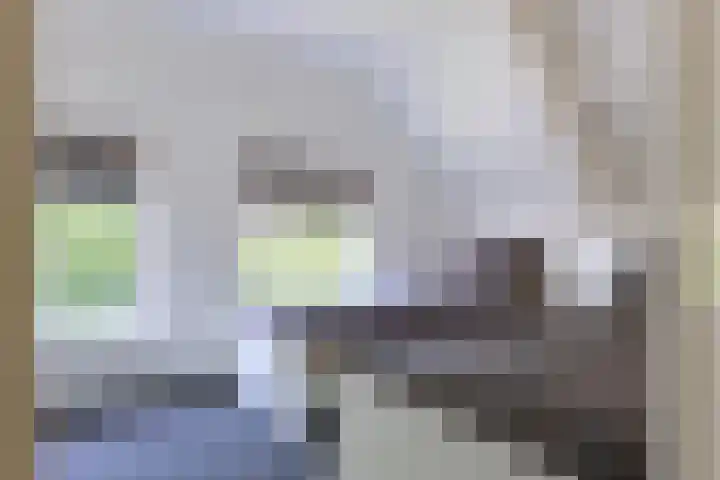 Borgerderweg 21 Odoorn thumbnail 64