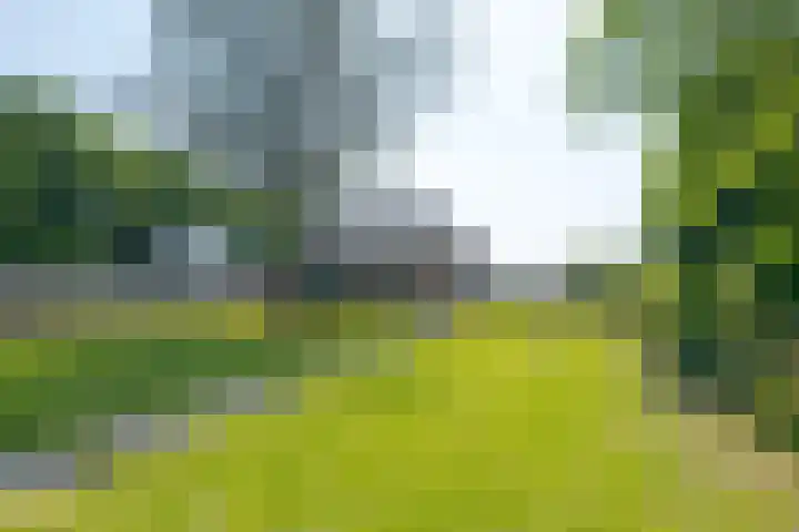 Borgerderweg 21 Odoorn thumbnail 78