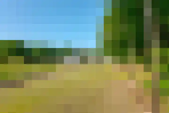 Borgerderweg 21 Odoorn thumbnail 84