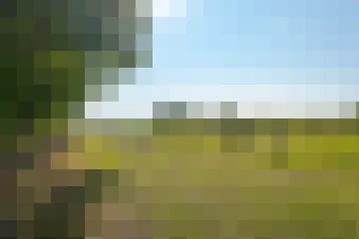 Borgerderweg 21 Odoorn thumbnail 85