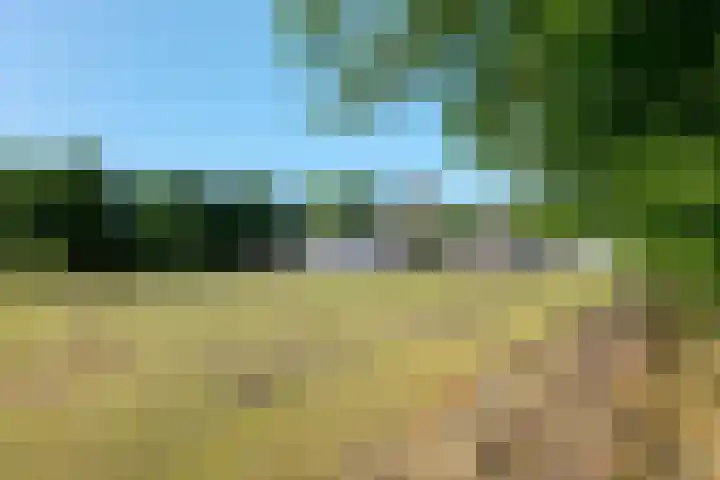 Borgerderweg 21 Odoorn thumbnail 86