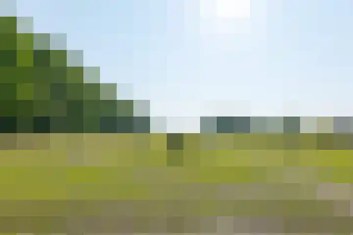 Borgerderweg 21 Odoorn thumbnail 88