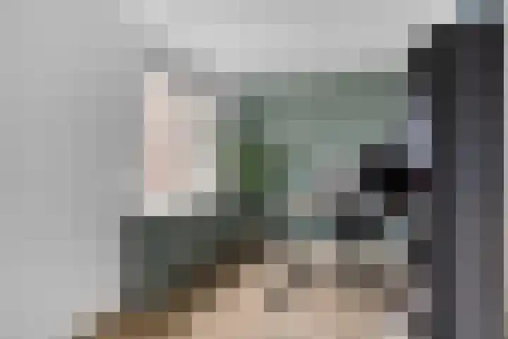 Borgerderweg 21 Odoorn thumbnail 9