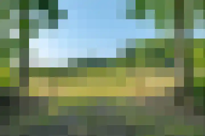 Borgerderweg 21 Odoorn thumbnail 90