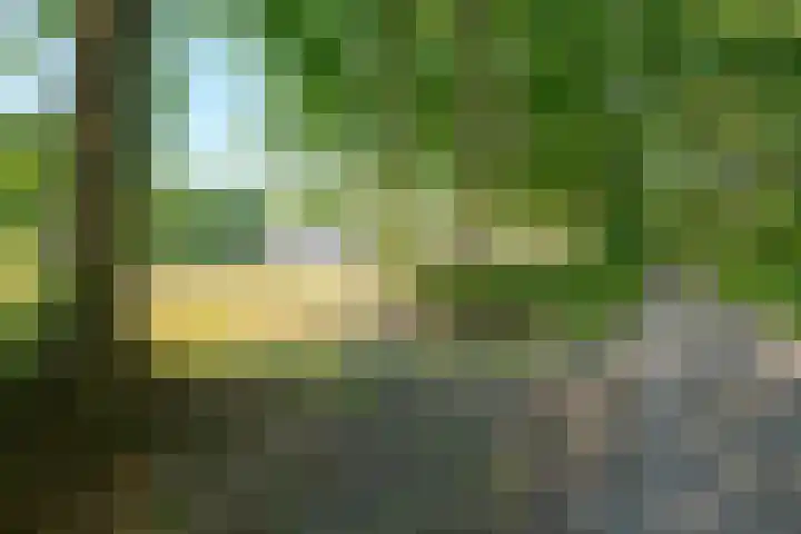 Borgerderweg 21 Odoorn thumbnail 91