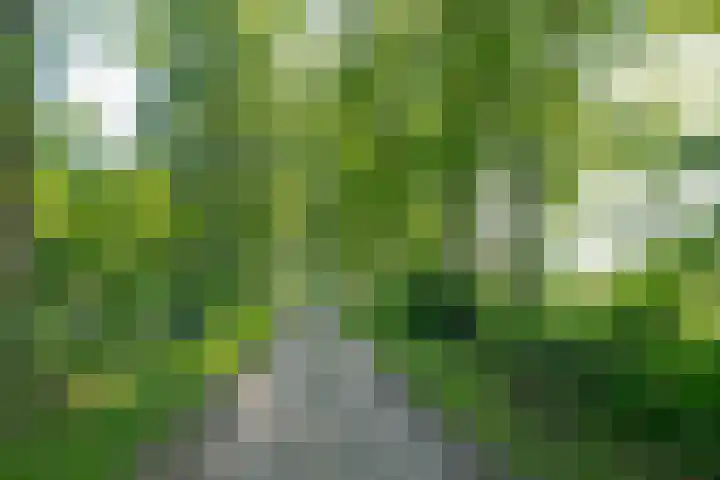 Borgerderweg 21 Odoorn thumbnail 92