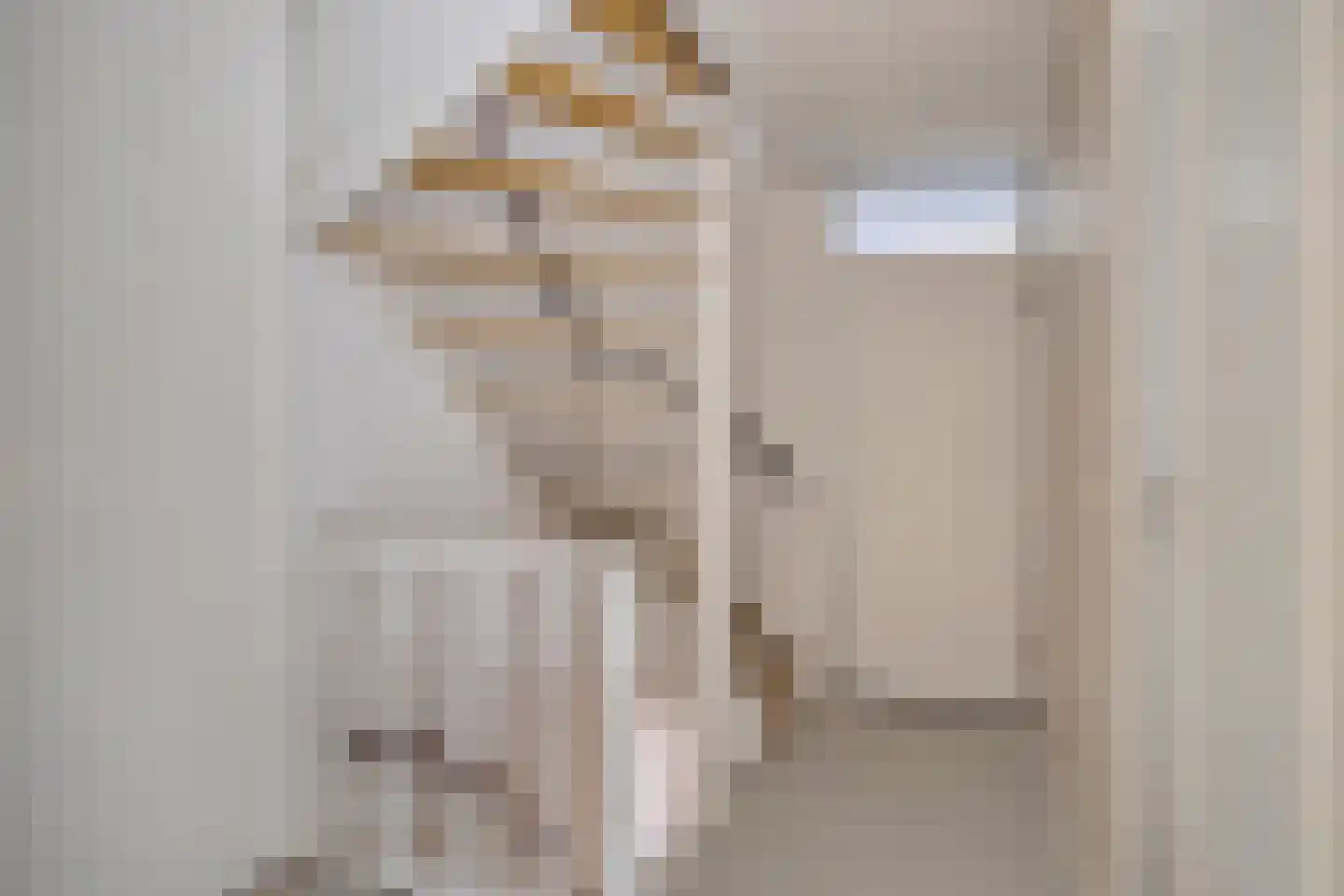 Borgerdiep 32 Zaandam thumbnail 15