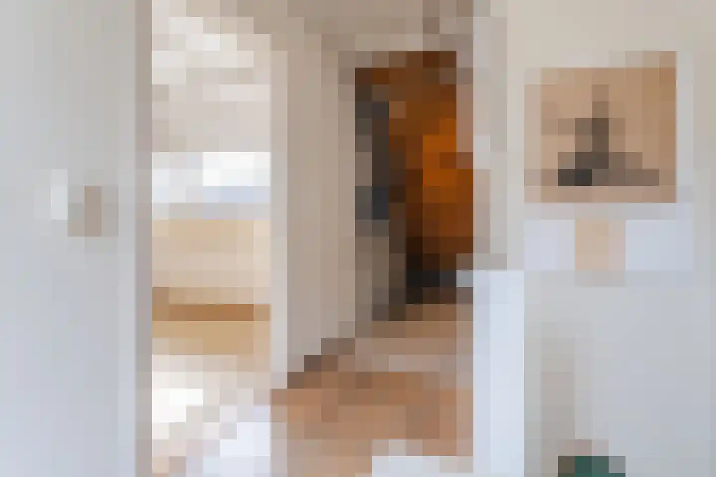 Borgerdiep 33 Zaandam thumbnail 29