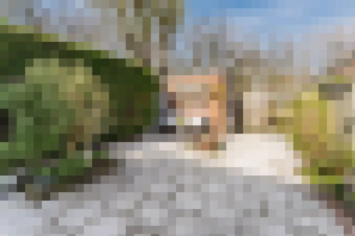Borgerdiep 33 Zaandam thumbnail 32