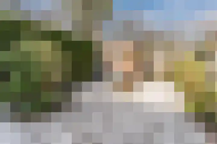 Borgerdiep 33 Zaandam thumbnail 32