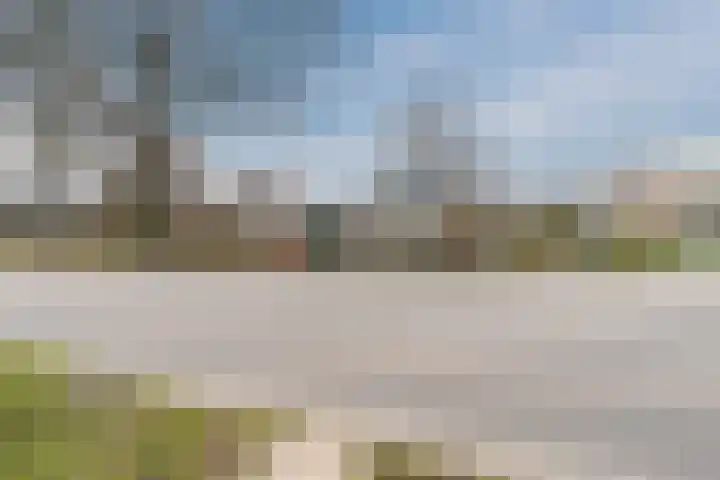 Borgerdiep 33 Zaandam thumbnail 37