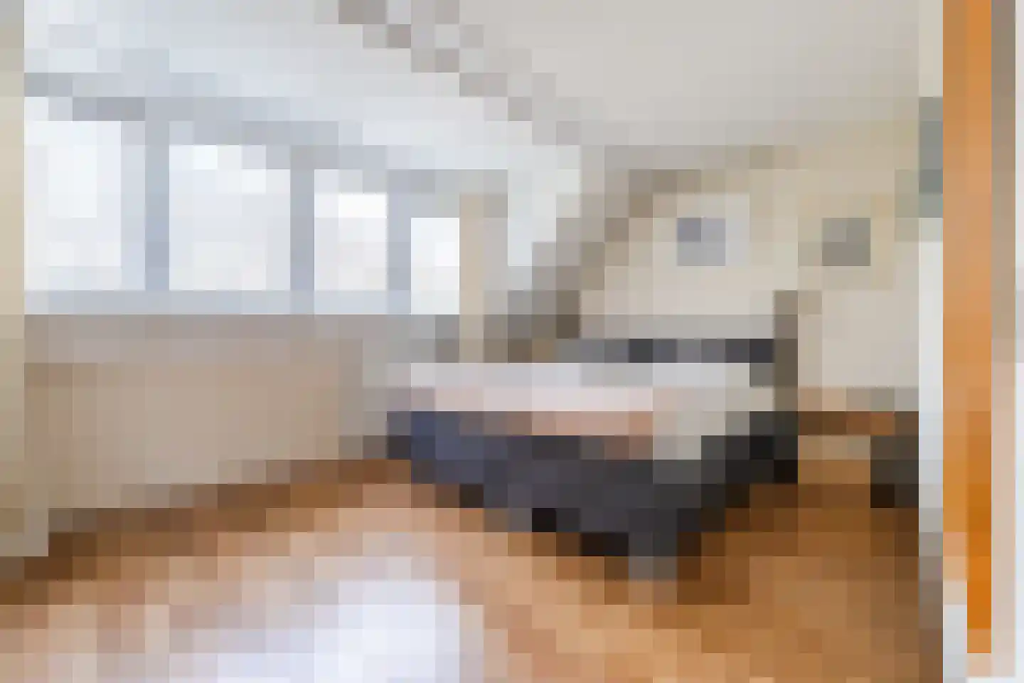 Borgerdiep 33 Zaandam thumbnail 4