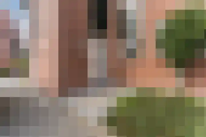 Borgerdiep 33 Zaandam thumbnail 7