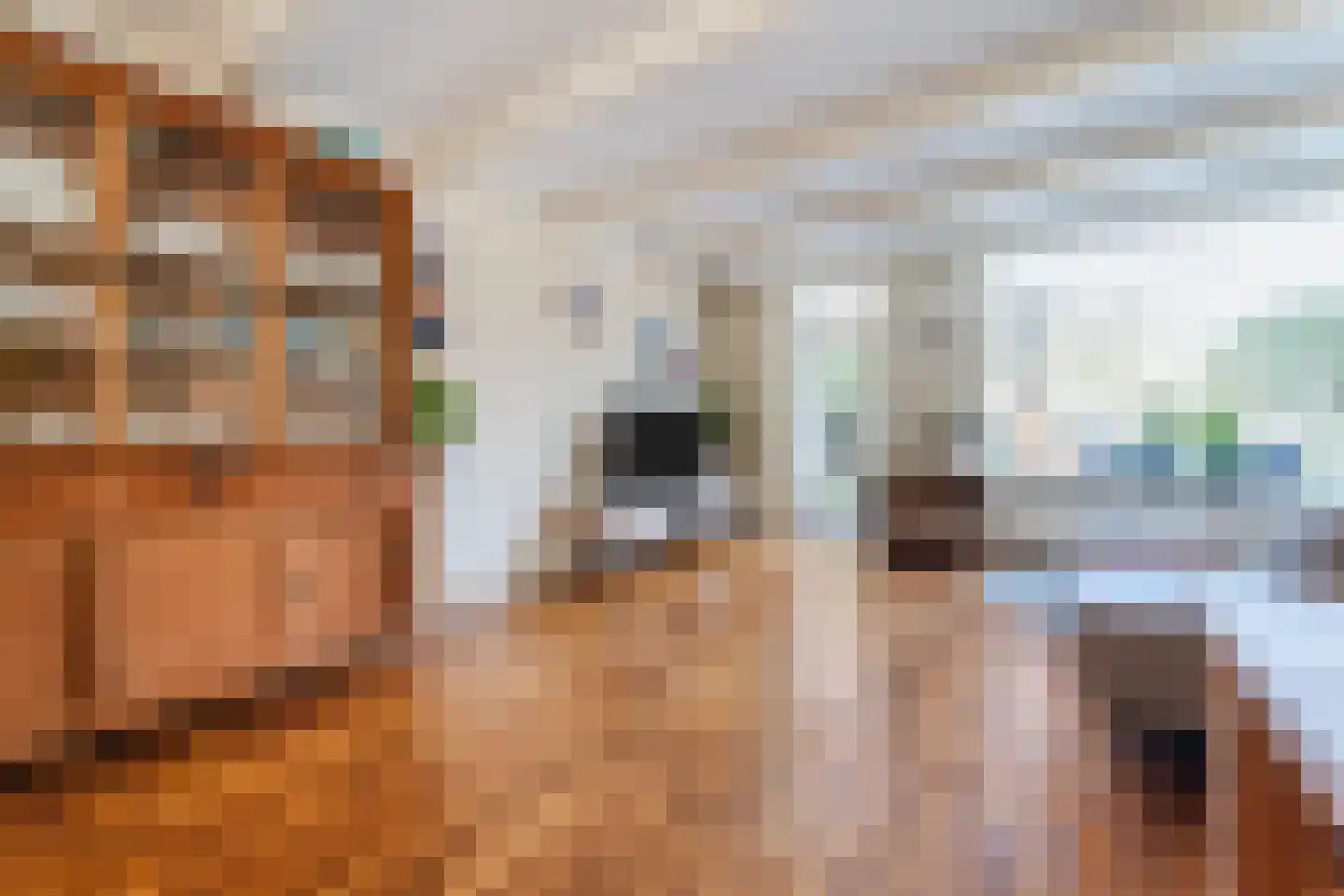 Borgerdiep 33 Zaandam thumbnail 8