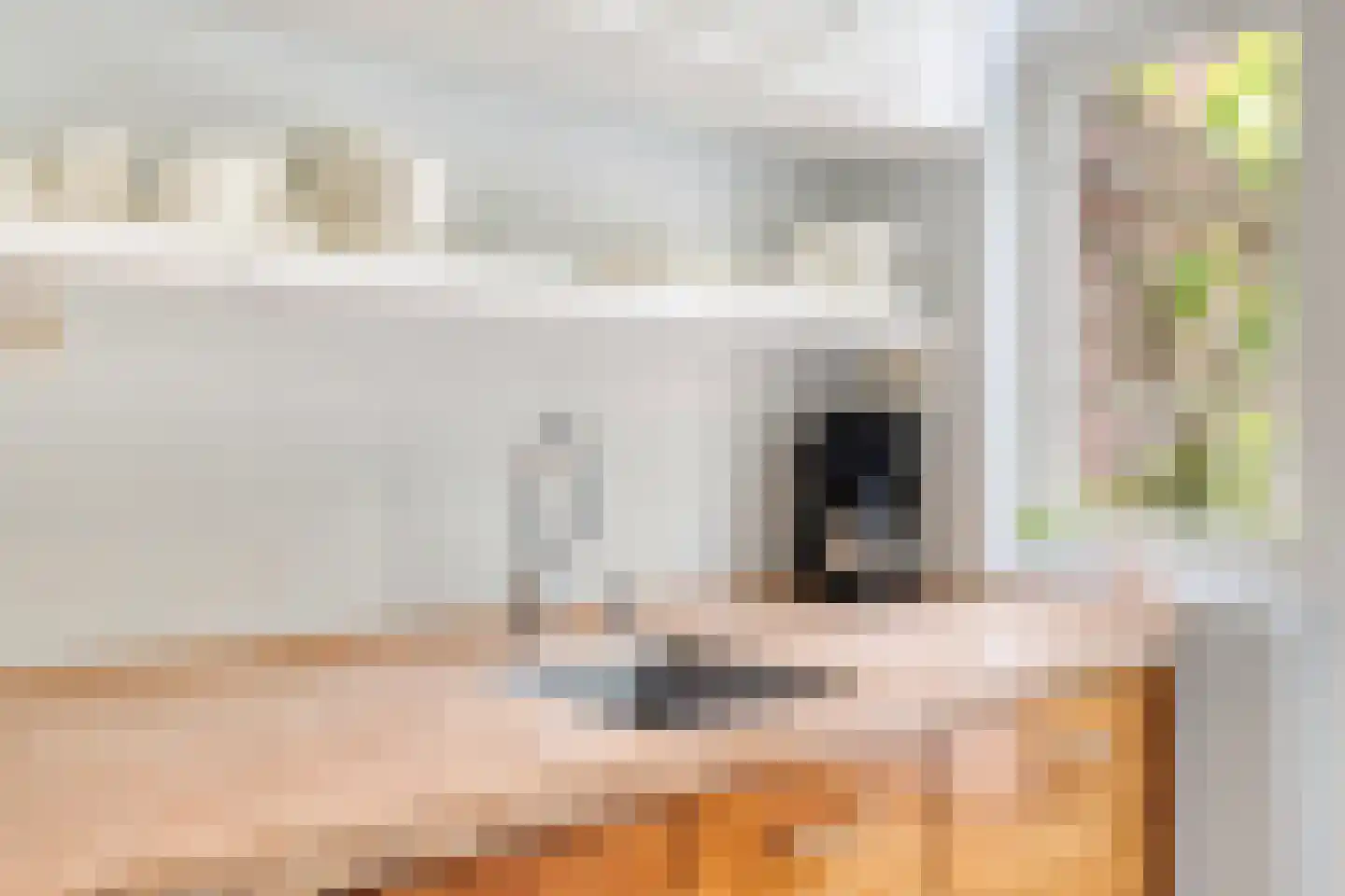 Borgerinkstraat 2 Deventer thumbnail 10
