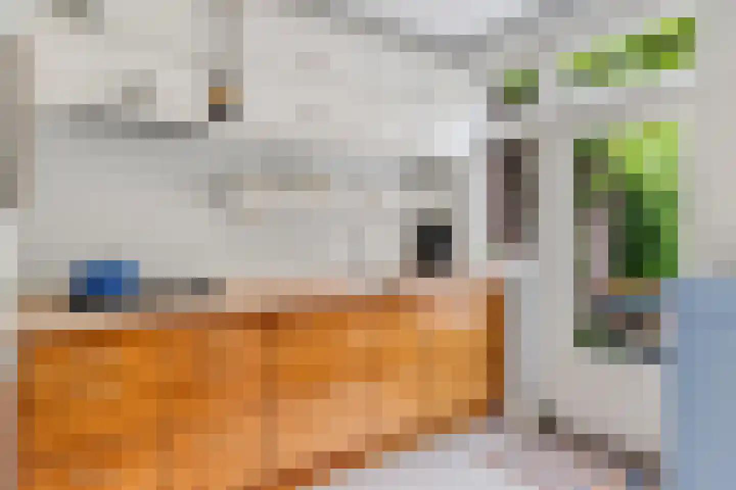 Borgerinkstraat 2 Deventer thumbnail 11