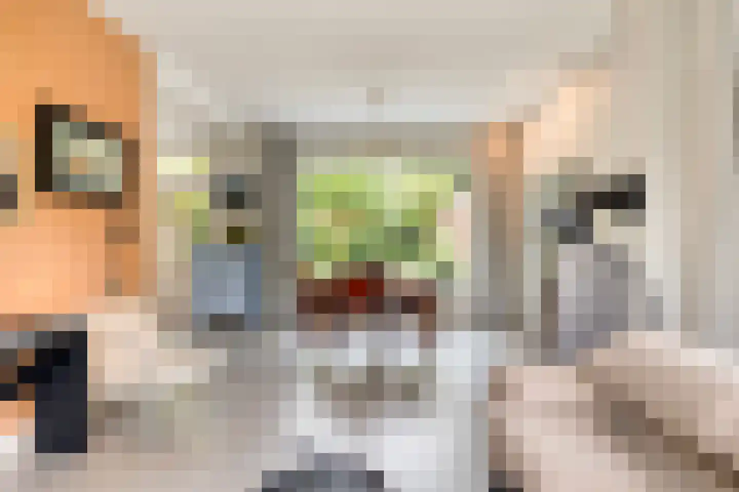 Borgerinkstraat 2 Deventer thumbnail 17