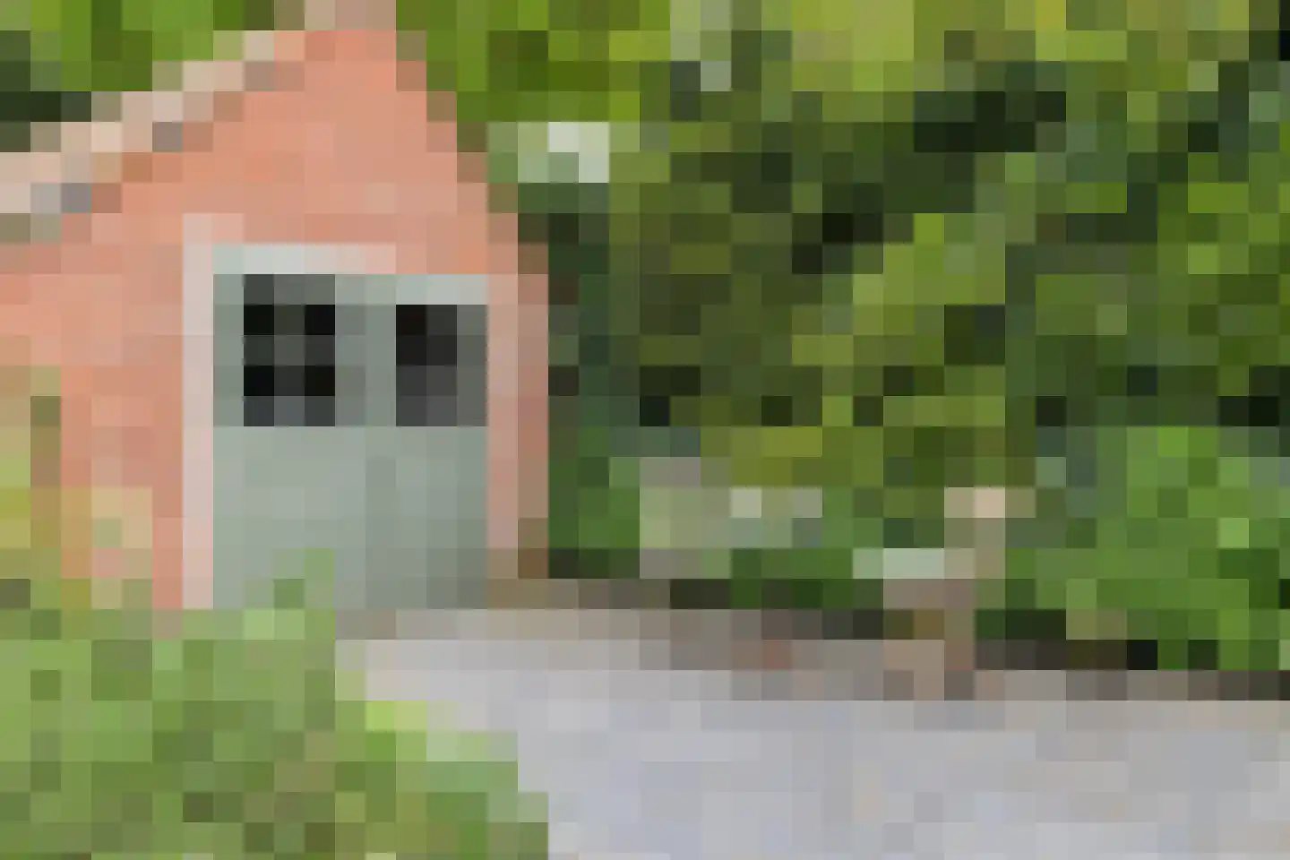 Borgerinkstraat 2 Deventer thumbnail 38