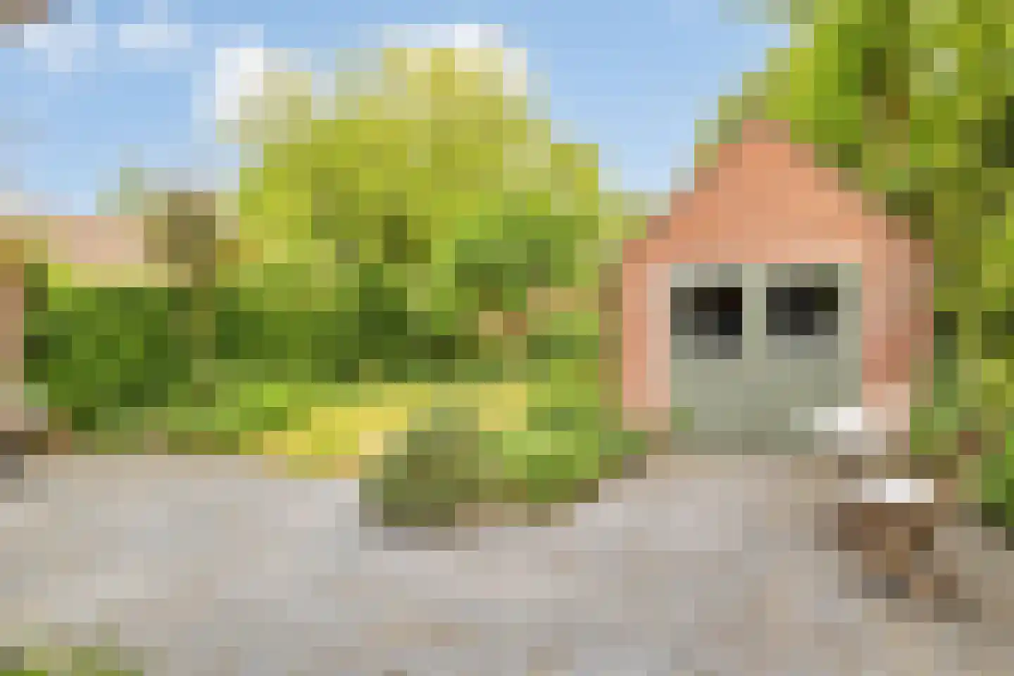 Borgerinkstraat 2 Deventer thumbnail 40