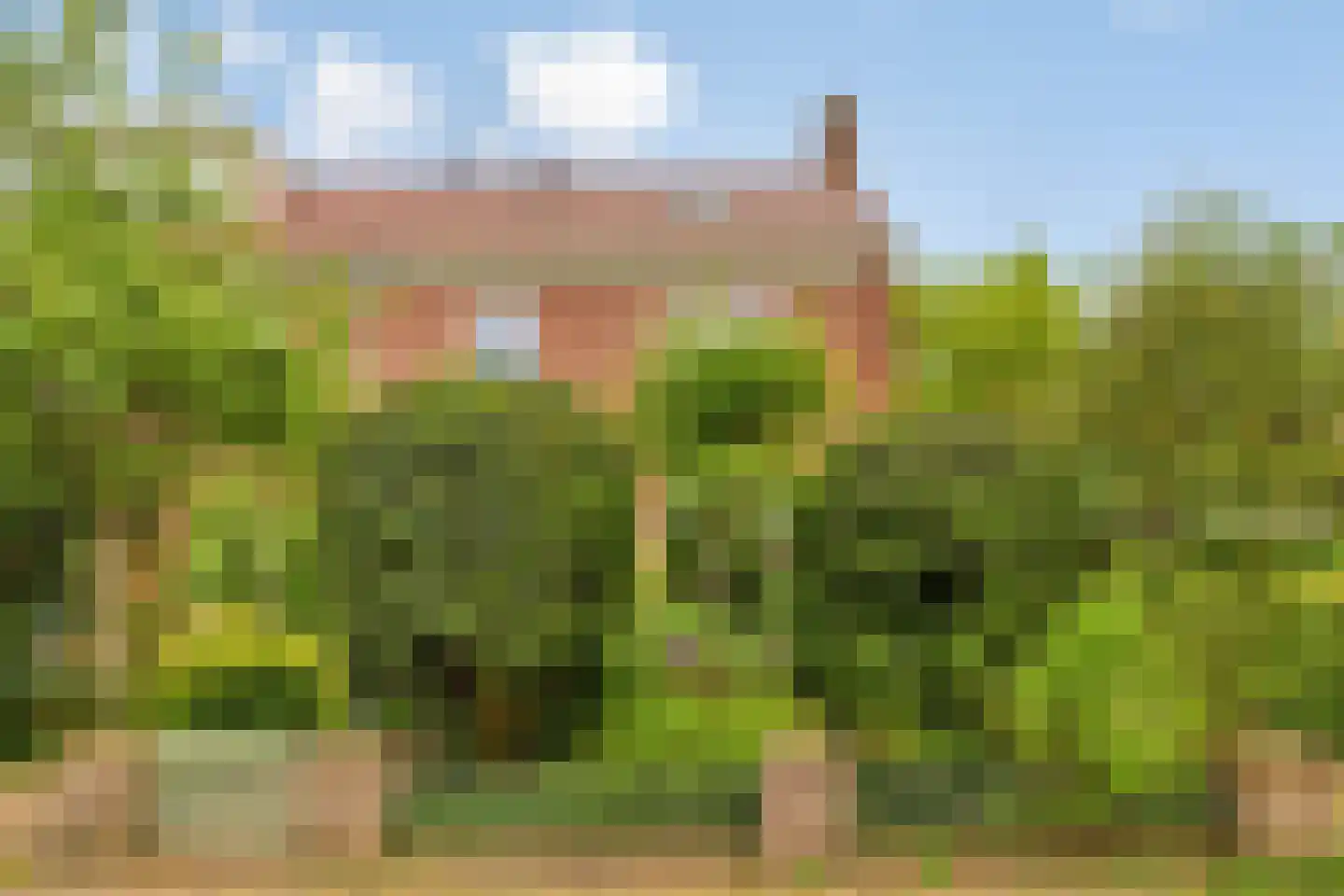 Borgerinkstraat 2 Deventer thumbnail 48