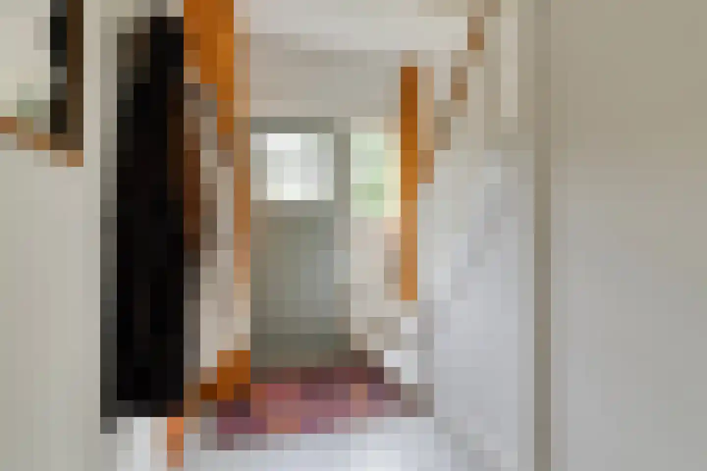 Borgerinkstraat 2 Deventer thumbnail 5