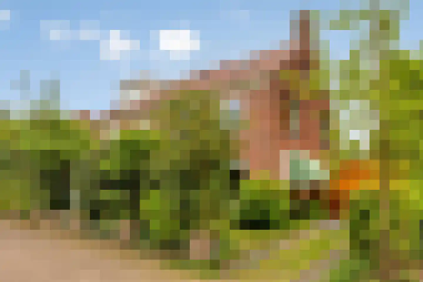 Borgerinkstraat 2 Deventer thumbnail 50