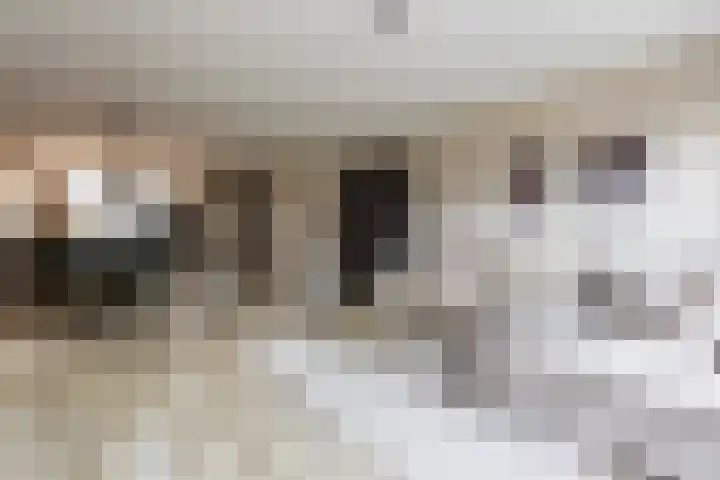 Borgerlant 14 Zuid-Scharwoude thumbnail 10