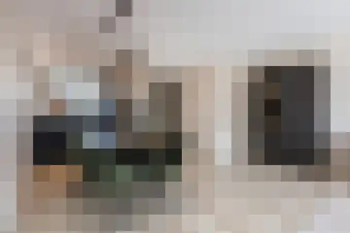 Borgerlant 14 Zuid-Scharwoude thumbnail 11