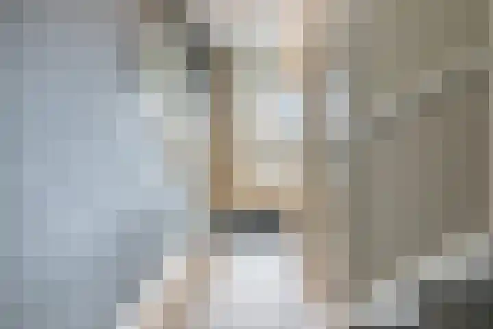 Borgerlant 14 Zuid-Scharwoude thumbnail 18