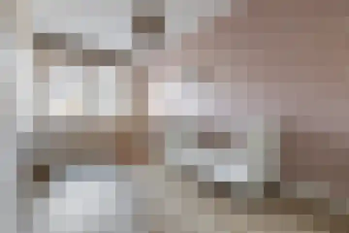Borgerlant 14 Zuid-Scharwoude thumbnail 21