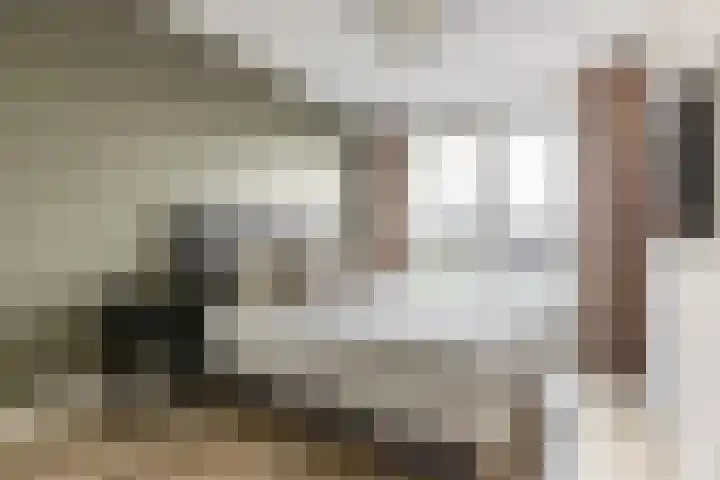 Borgerlant 14 Zuid-Scharwoude thumbnail 23